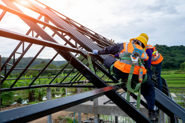 Best Roof Maintenance Services  in Collins, MS