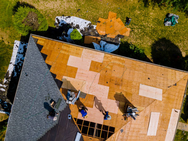 Best Sealant for Roof  in Collins, MS