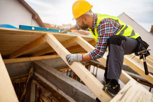 Best Metal Roofing Contractor  in Collins, MS
