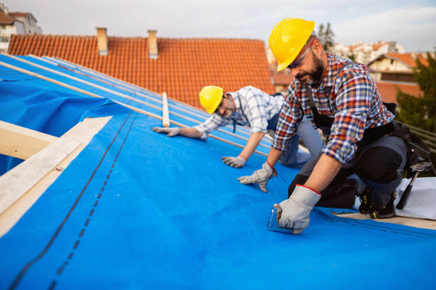 Best Roof Gutter Cleaning  in Collins, MS