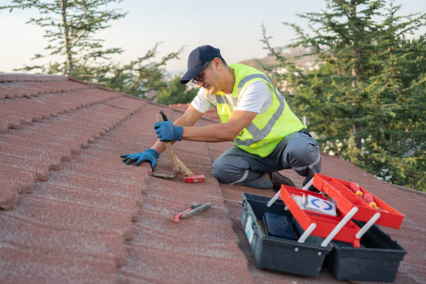 Best Roofing Contractor Near Me  in Collins, MS