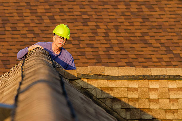 Professional Roofing Contractor in Collins, MS