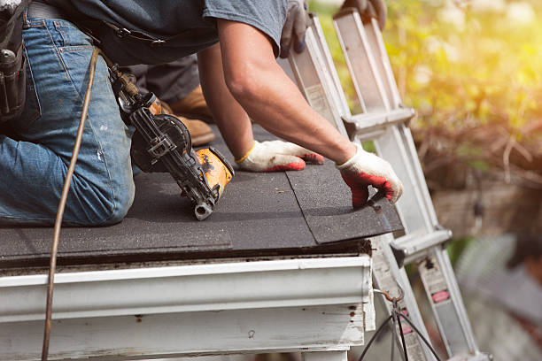 Best Affordable Roof Replacement  in Collins, MS