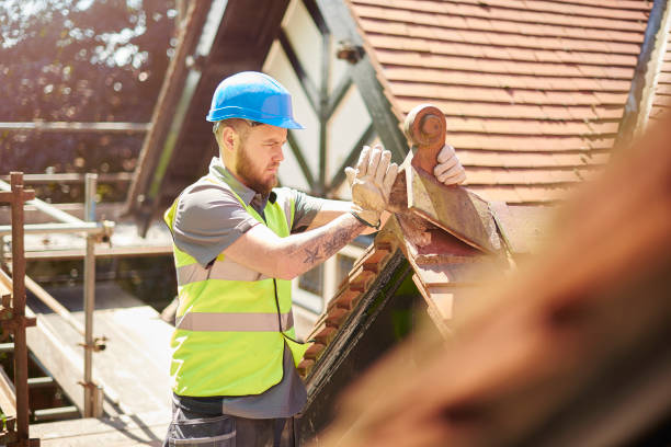 Roof Waterproofing Services in Collins, MS