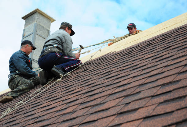 Best Storm Damage Roof Repair  in Collins, MS