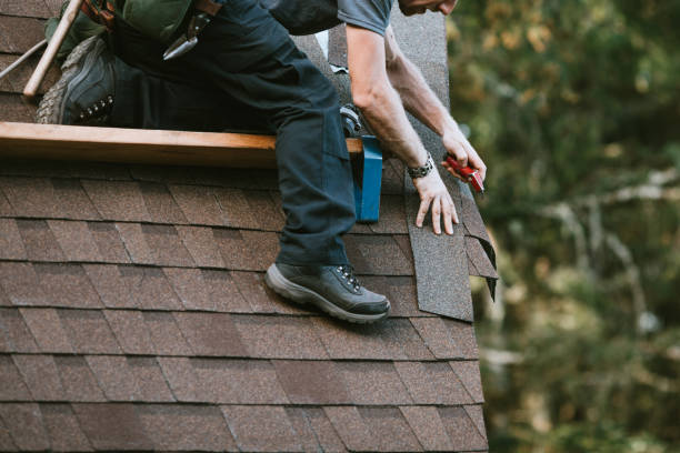 Residential Roof Replacement in Collins, MS