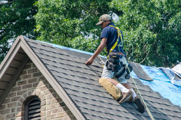 Best Roof Repair Services  in Collins, MS