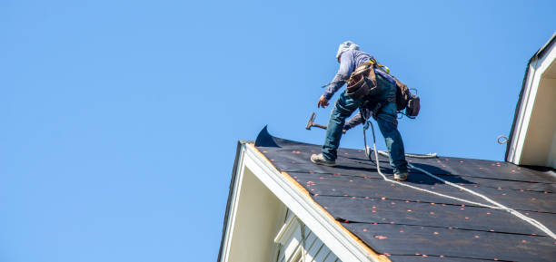 Best Roof Gutter Cleaning  in Collins, MS